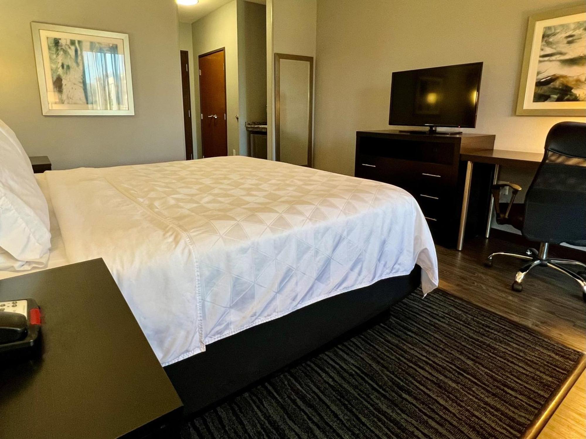 Holiday Inn Carlsbad/San Diego By Ihg Экстерьер фото